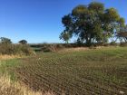 Country views at Herrington Park